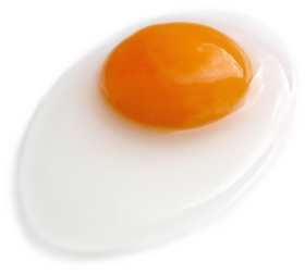 Half Fried Egg PNG