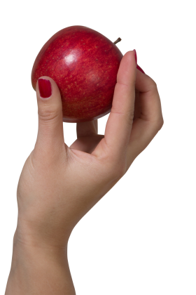Holding an apple PNG