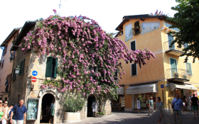 Building Drapped with Flowers and People Walking PNG