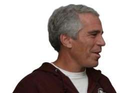 Jeffrey Epstein Head Side Profile PNG