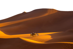 Camel Ride in the Desert PNG