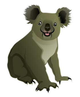 Koala Bear PNG