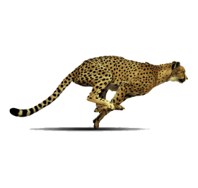 Leaping Leopard PNG