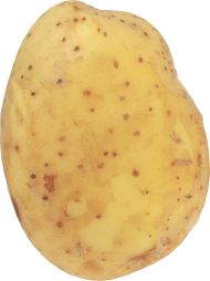 Potatoes PNG