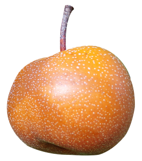 Asian Pear PNG