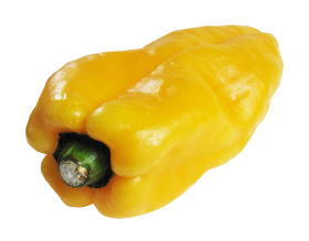 Bell Pepper Yellow PNG