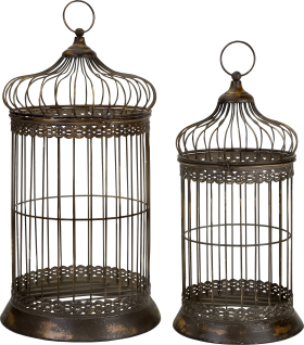 Bird Cage PNG