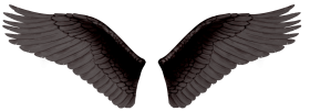 Black Wings PNG