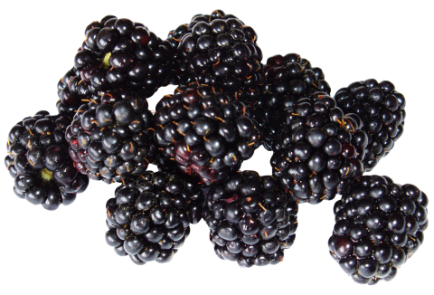 Blackberrys PNG