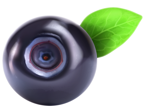 Blueberry PNG