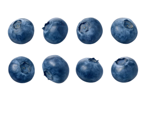 Blueberrys Variations PNG