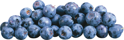 Blueberrys PNG