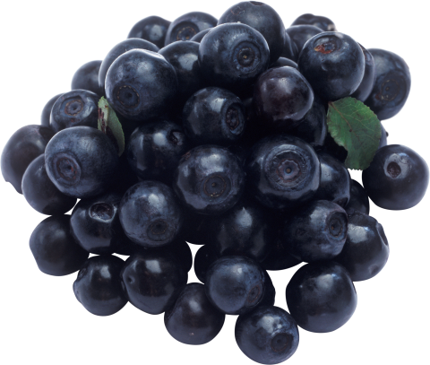 Blueberrys PNG
