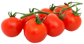 Bunch of Fresh Tomatoes PNG
