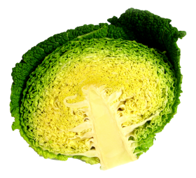 Cabbage Half PNG