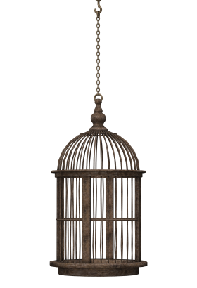 Cage Bird PNG