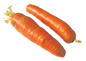 Carrots Half PNG