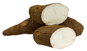 Cassava PNG
