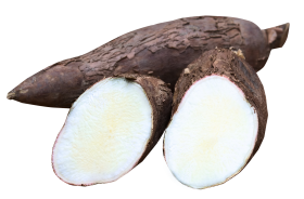 Cassava PNG