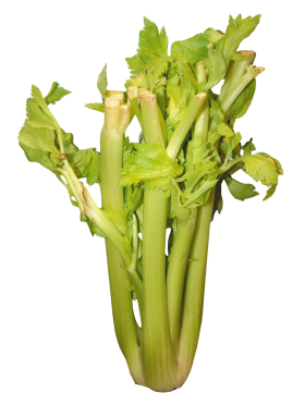 Celery PNG