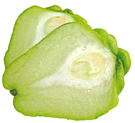 Chayote PNG
