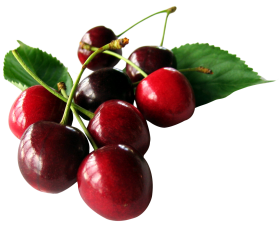 Cherries with leaf PNG