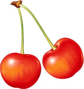 Cherries PNG