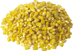 Corn PNG