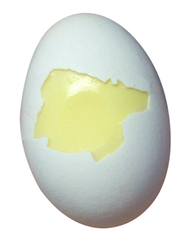 Cracked Egg PNG