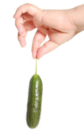 Cucumber in Hand PNG