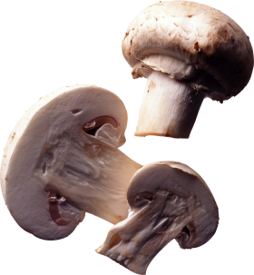 cut mushrooms PNG