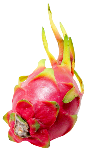 Dragon Fruit PNG
