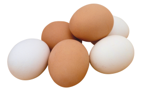 Fried Egg PNG Image - PurePNG  Free transparent CC0 PNG Image Library