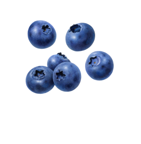 Falling Blueberrys PNG