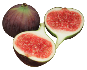 Fig PNG