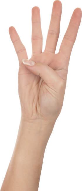Fingers PNG