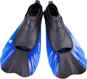Flippers PNG