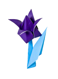 Flower Origami PNG