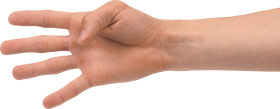 Four Finger Hand PNG