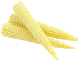 Fresh Baby Corn PNG