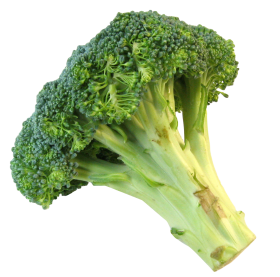 Fresh Broccoli PNG