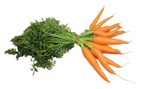 Fresh Carrot PNG