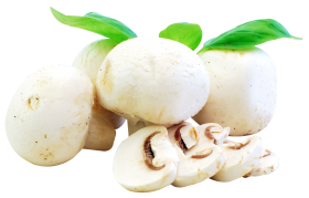 Fresh Mushrooms PNG