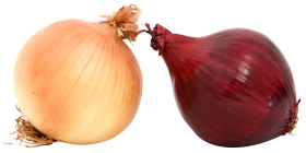 Fresh Onions PNG