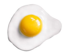 Fried Egg PNG