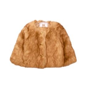 Fur Coats Brown PNG