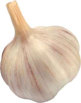 Garlic PNG