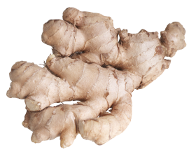 Ginger Root PNG