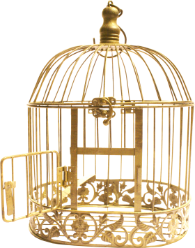 Golden Bird Cage PNG