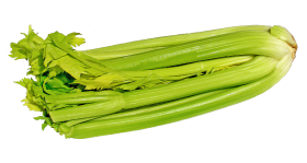 Green Celery PNG